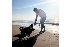 Image Dogs playing with owner on beach.